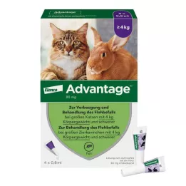 ADVANTAGE 80 mg lieliem kaķiem un lieliem dekoratīvajiem trušiem, 4X0,8 ml