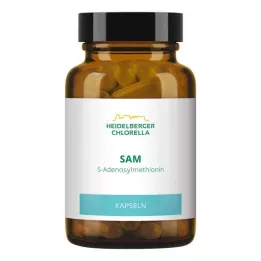SAM S-ADENOSYLMETHIONIN kapsulas, 60 kapsulas