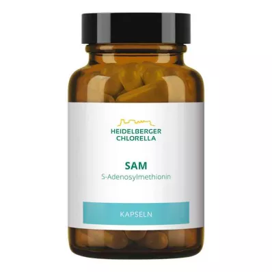 SAM S-ADENOSYLMETHIONIN kapsulas, 60 kapsulas