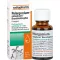 PELARGONIUM-RATIOPHARM Bronhu pilieni, 20 ml