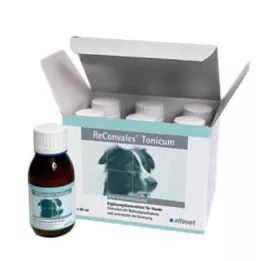 Reconvales Toniks suņiem, 6X90 ml