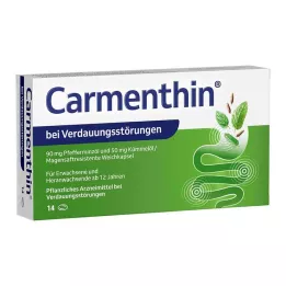 CARMENTHIN gremošanas traucējumiem msr.soft kapsulas, 14 gab
