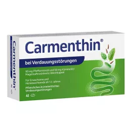 CARMENTHIN gremošanas traucējumiem msr.soft kapsulas, 42 gab