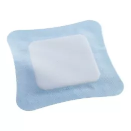 VLIWASORB Pro superabsorb.comp.sterili 22x22 cm, 10 gab