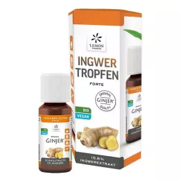 INGWER GINJER forte pilieni, 20 ml