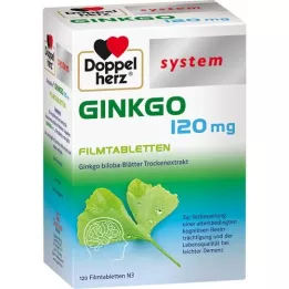 DOPPELHERZ Ginkgo 120 mg sistēmas apvalkotās tabletes, 120 gab