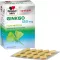 DOPPELHERZ Ginkgo 120 mg sistēmas apvalkotās tabletes, 120 gab