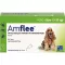 AMFLEE 134 mg šķīdums uz vietas vidēja lieluma suņiem 10-20 kg, 3 gab