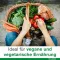 VITAMIN B-LOGES apvalkotās tabletes, 120 gab