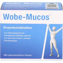 WOBE-MUCOS zarnu apvalkotās tabletes, 120 gab