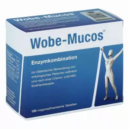 WOBE-MUCOS zarnu apvalkotās tabletes, 120 gab