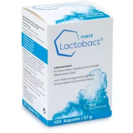 LACTOBACT Forte kapsulas ar enterisko apvalku, 120 kapsulas