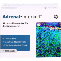 ADRENAL-Intercell kapsulas, 120 kapsulas