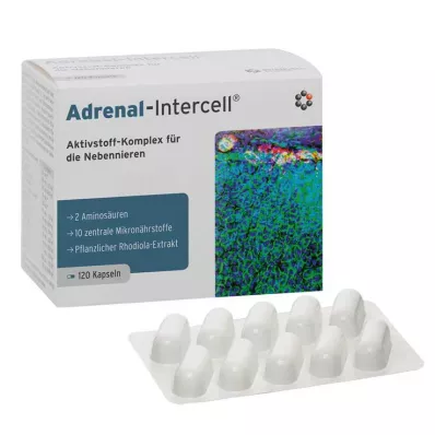 ADRENAL-Intercell kapsulas, 120 kapsulas