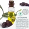 Free Oil Hydrolipid mitrinošs krēms, 50 ml