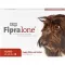 FIPRALONE 134 mg šķīdums vidēja lieluma suņiem, 4 gab