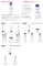 Instructions for use for Eucerin UreaRepair Original losjons 3%, 250 ml - 2