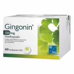 GINGONIN 120 mg cietās kapsulas, 60 gab