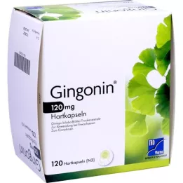 GINGONIN 120 mg cietās kapsulas, 120 gab