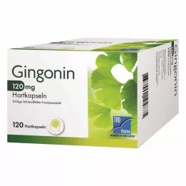 GINGONIN 120 mg cietās kapsulas, 120 gab