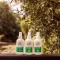 CARE PLUS Deeta aerosols pret insektiem, 50%, 200 ml