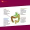 PROBIOCOLON Svara samazinājums Dr.Wolz pulveris, 315 g