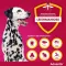 ADVANTIX Patch-on šķīdums sunim 25-40 kg, 4X4,0 ml