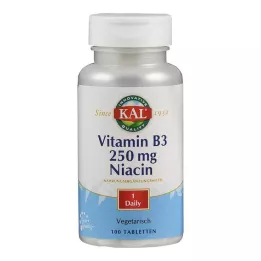VITAMIN B3 NIACIN 250 mg tabletes, 100 gab