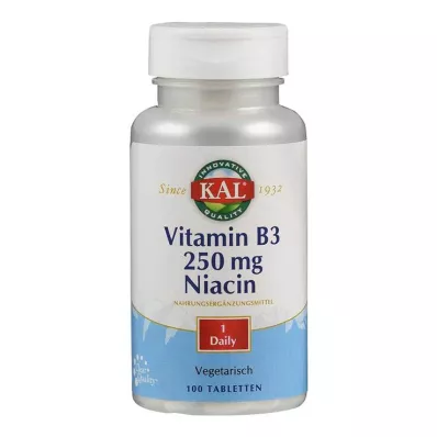 VITAMIN B3 NIACIN 250 mg tabletes, 100 gab