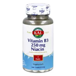 VITAMIN B3 NIACIN 250 mg tabletes, 100 gab