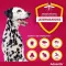 ADVANTIX Patch-on šķīdums sunim 40-60 kg, 4X6,0 ml