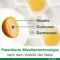 CURCUMIN-LOGES plus Boswellia kapsulas, 60 kapsulas