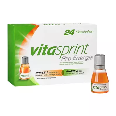 VITASPRINT Pro Energy dzērienu pudeles, 24 gab
