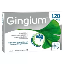 Gingium 120 mg apvalkotās tabletes, 30 gab