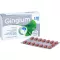 GINGIUM 120 mg apvalkotās tabletes, 60 gab