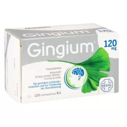 GINGIUM 120 mg apvalkotās tabletes, 120 gab