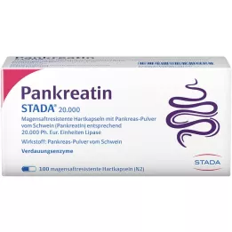 PANKREATIN STADA 20 000 kuņģa sulas cieto kapsulu, 100 gab