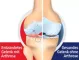 Instructions for use for GELENCIUM® arthro pilieni, 100 ml - 2