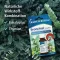 KLOSTERFRAU Bronhu pilieni, 20 ml
