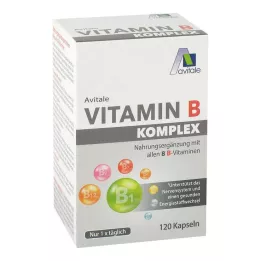 VITAMIN B KOMPLEX kapsulas, 120 kapsulas