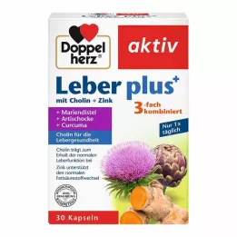 DOPPELHERZ Aknas plus ar holīnu un cinka kapsulas, 30 kapsulas