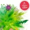Instructions for use for Base Active Tea Nr.2 Mariend.-Dandelion Organic Salus, 40 gab - 3