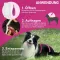 FRONTLINE Tri-Act šķīdums suņiem 2-5 kg, 6 gab