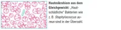 Instructions for use for AKTIVADERM ND Neirodermatīta ādas ārstēšanai aktīvās probiotikas, 125 g - 2