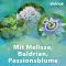 VIVINOX Nervozitāte Baldr.+Mel.+Passion.Calming.Drag., 100 St