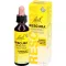 BACHBLÜTEN Original Rescura pilieni bez alkohola, 20 ml