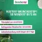 Bronchostop® Sine klepus sīrups, 200 ml