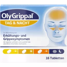 OLYGRIPPAL Diena &amp; Nakts 500 mg/60 mg tabletes, 16 gab