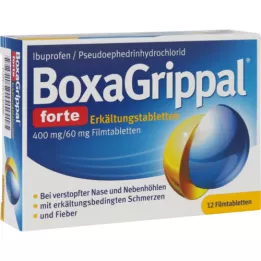 BOXAGRIPPAL forte aukstā nūja. 400 mg/60 mg FTA, 12 gab