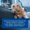 NUREXAN ad us.vet.tablets, 500 gab